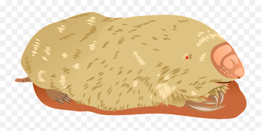 Marsupial Mole Clipart Free Download Transparent Png Emoji,Gopher Emoji