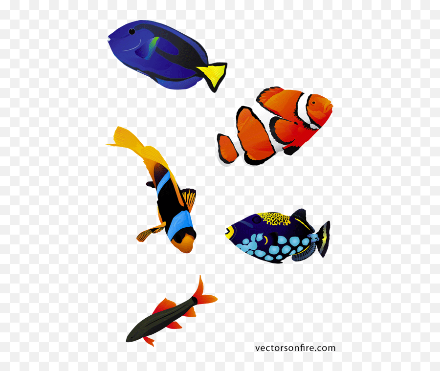 Download Hd Colorful Aquarium Fish - Coral Reef Fish Vector Reef Fish Vector Emoji,Coral Emoji