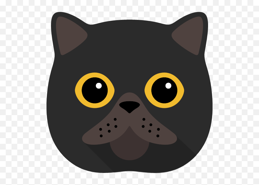 Impawtant Notesu0027 - Cat Photo Upload Notebook Yappycom Emoji,Crying Cat Emoji