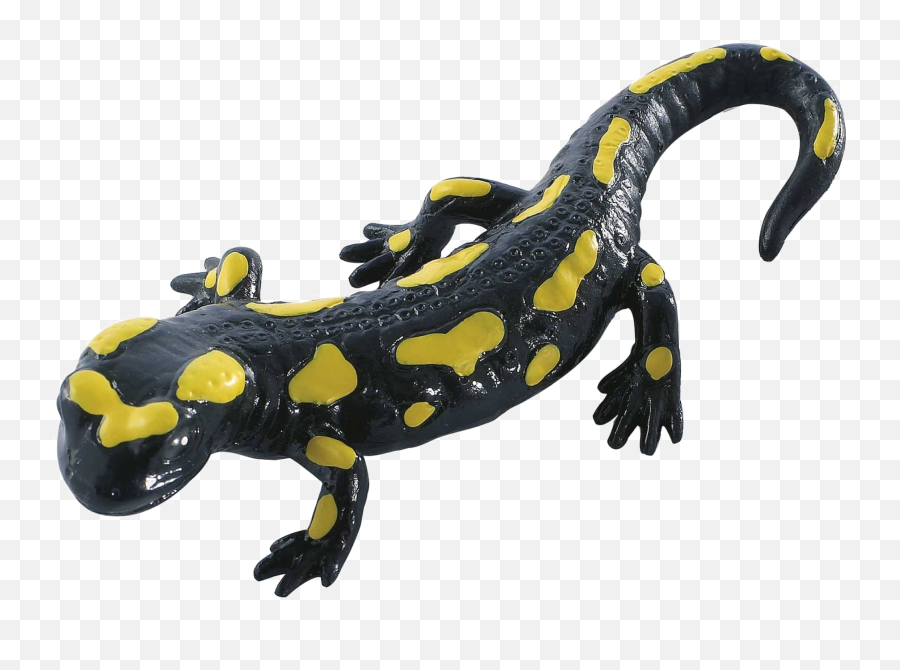 Fire Salamander - Salamander Png Emoji,Salamander Emoji