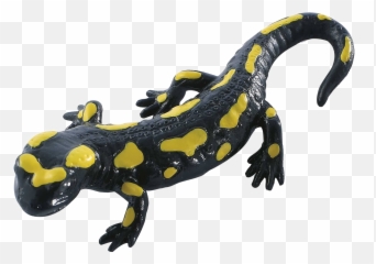 Fire Salamander - Salamander Png Emoji,Salamander Emoji