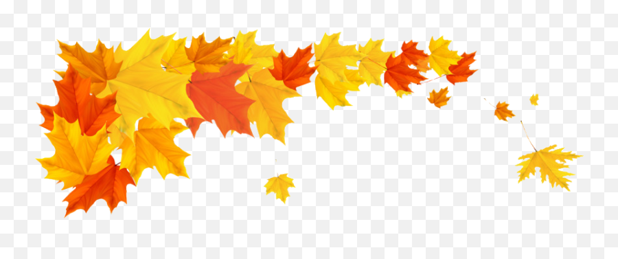 Desktop Png Autumn Leaves U0026 Free Desktop Autumn Leavespng - Transparent Fall Leaves Drawing Emoji,Autumn Emojis