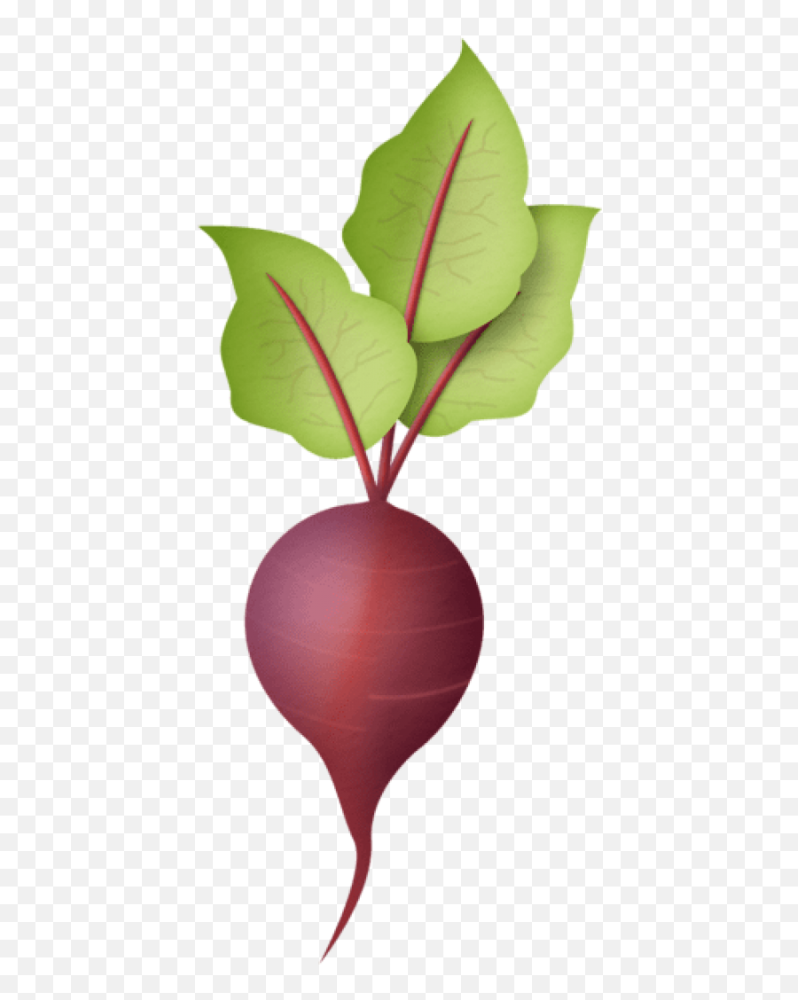 Free Png Download Radish Png Images - Radish Clip Art Emoji,Radish Emoji