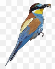 Free Bee Clip Download Free Clip Art Free Clip Art On - Bee Eater Clipart Emoji,Zzz Ant Ladybug Ant Emoji