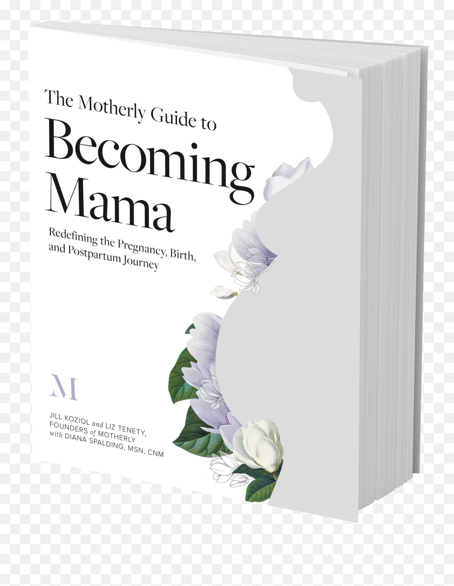 The Essential Pregnancy Birth Book Is - Horizontal Emoji,Fosh Dianna The Healing Power Of Emotion