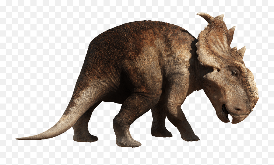 Dinosaur Png Photos Png Mart - Pachyrhinosaurus Png Emoji,Dinosaur Emojis Png