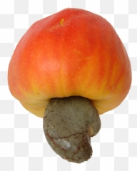 Pomme Cajou - Cashews On Apples Emoji,Emoji Apple Pomme
