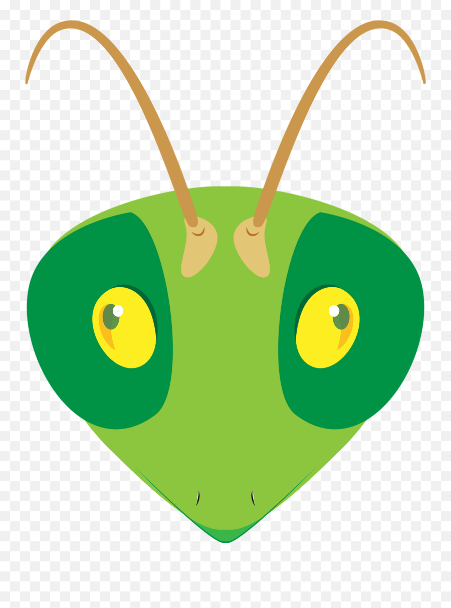 Praying Mantis Face Clipart Free Download Transparent Png - Happy Emoji,Sleep Ant Ladybug Ant Emoji