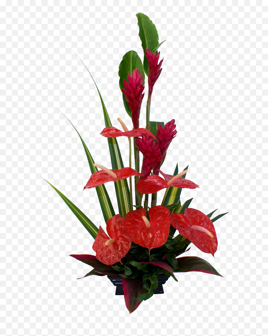 Red Tropical Flower Arrangement - Lovely Emoji,Tropical Flower Emoji