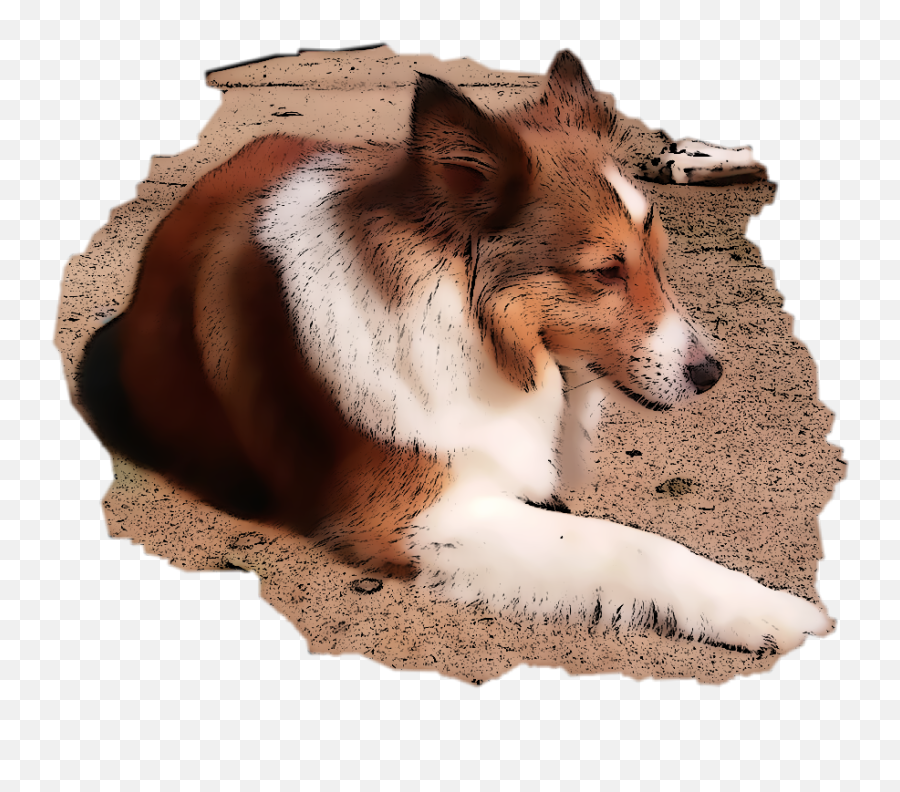 The Most Edited - Northern Breed Group Emoji,Sheltie Emoji