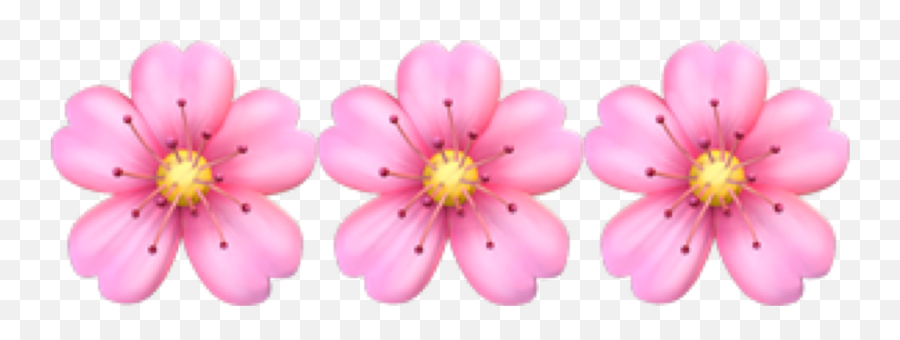 Flower Emoji Sticker By - Girly,Pink Flower Emoji Transparent