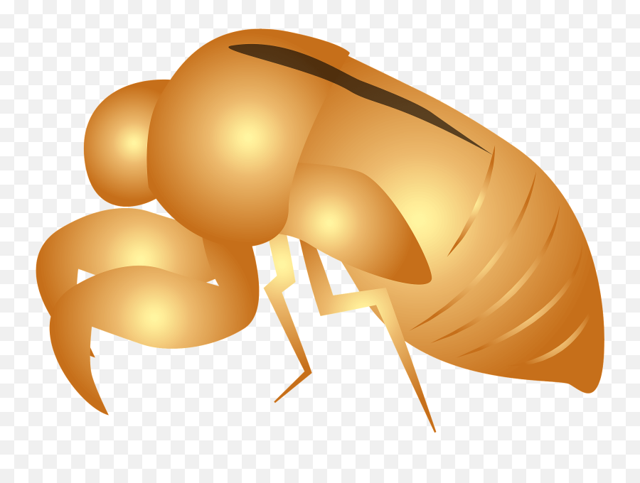 Cicadas Shell Clipart - Parasitism Emoji,Cicada Emoji