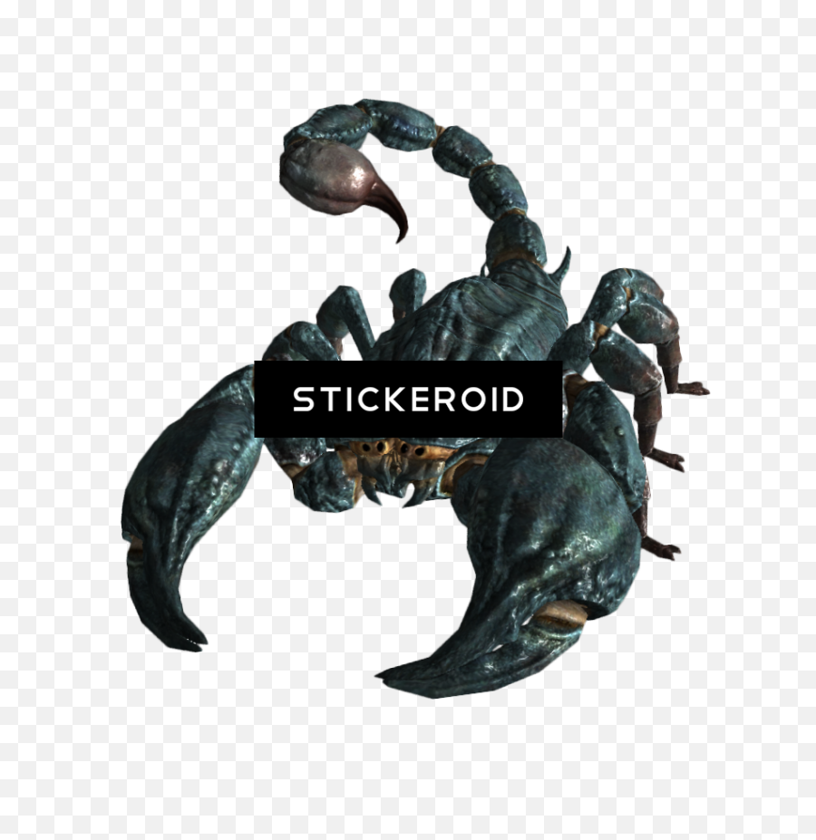 Scorpion Insects Scorpions - Fallout 3 Radscorpion Emoji,Scorpion Emoji