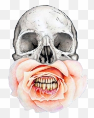 555 Images About Réseaux Sociaux On We Heart It See - Calavera Png Emoji,Emoticon De Calavera