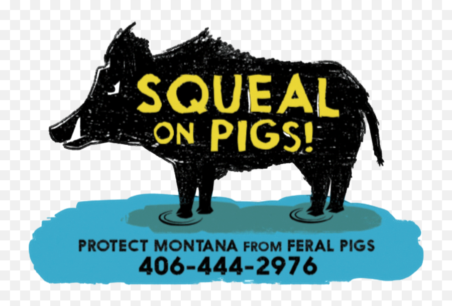 Feral Swine Could Enter Montana News Charkoostacom - Animal Figure Emoji,Pig Emoticon Full Text