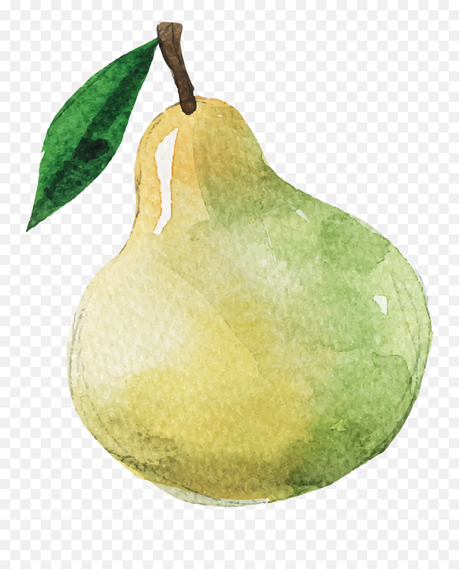 Mq Green Pear Pears Fruit Fruits - Pear Clipart Watercolor Emoji,Pear Emoji