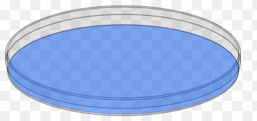 Petri Dish Clip Art Red - Petri Dish Clipart Emoji,Petri Dish Emoji