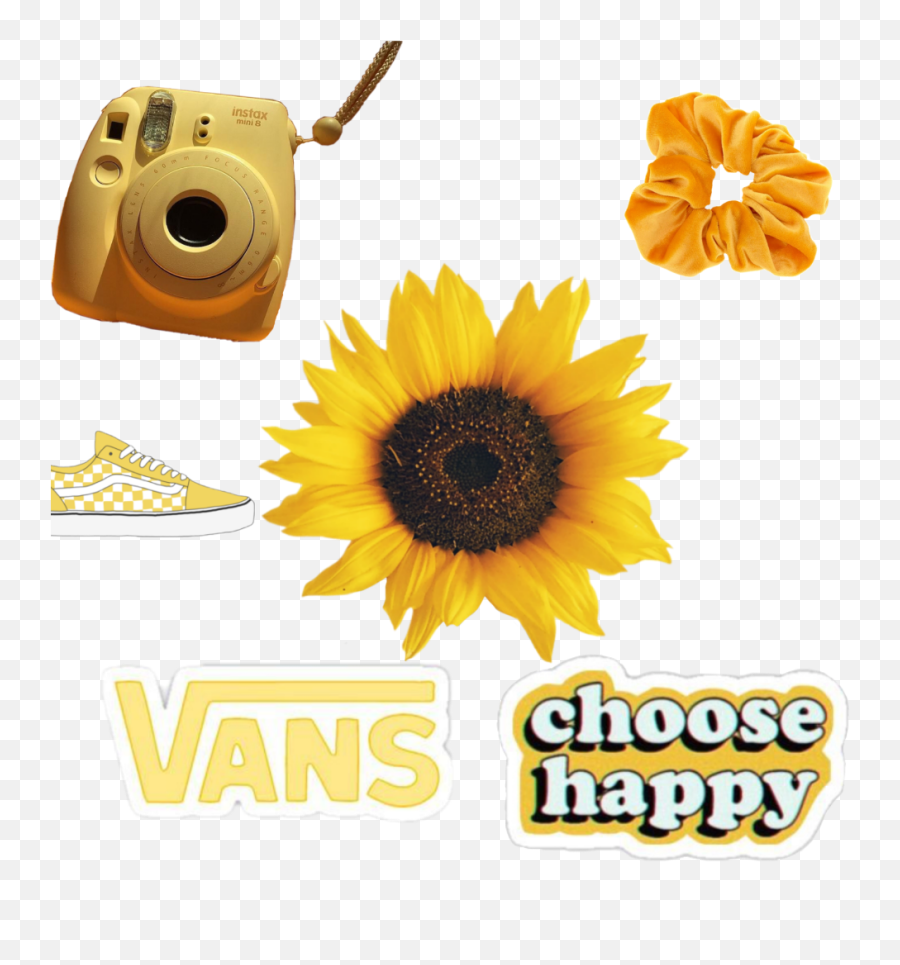 Visco Sticker - Sunflower With Hand Png Emoji,Emojis Viscos