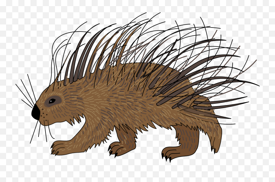 Porcupine Clipart - New World Porcupines Emoji,Porcupine Emoji