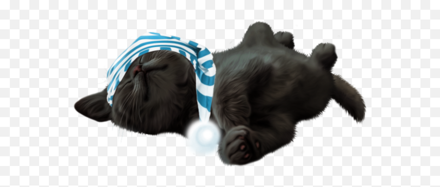 Kitty Black Sleepy Sleeping Cute Sticker By Kayoss - Soft Emoji,Sleeping Cat Emoji