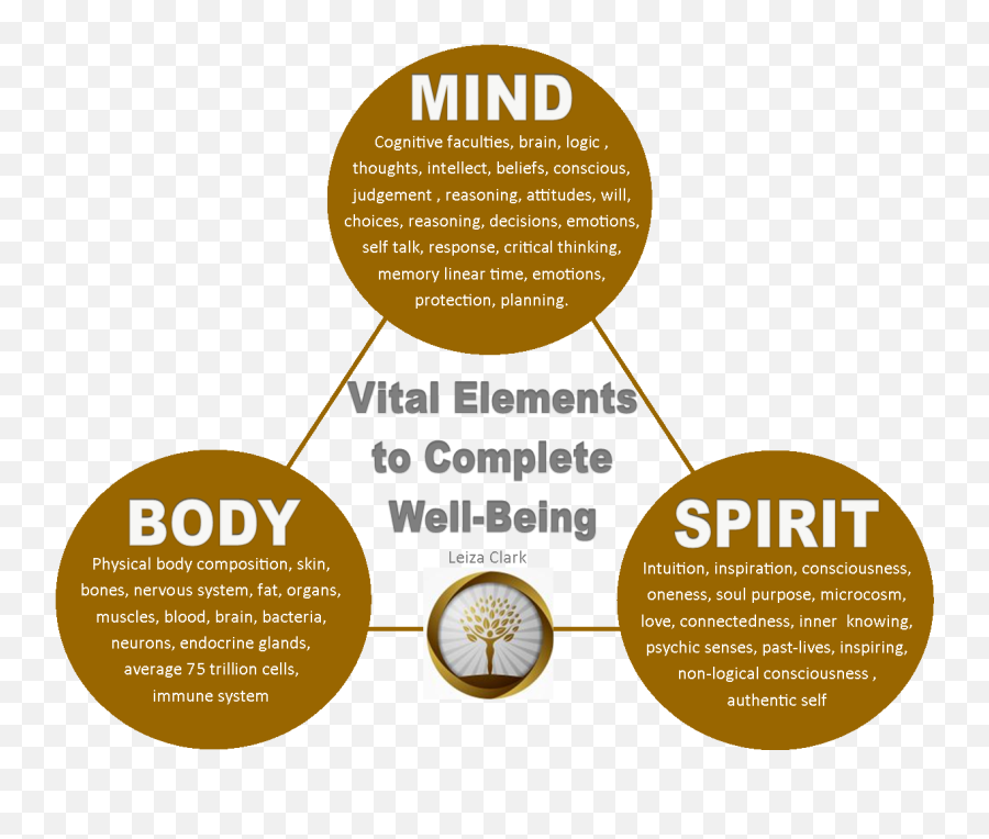 Will mind. Body Mind Spirit. Концепция Mind body Spirit. Перевод Spirit Mind body. Balance body Mind and Soul.