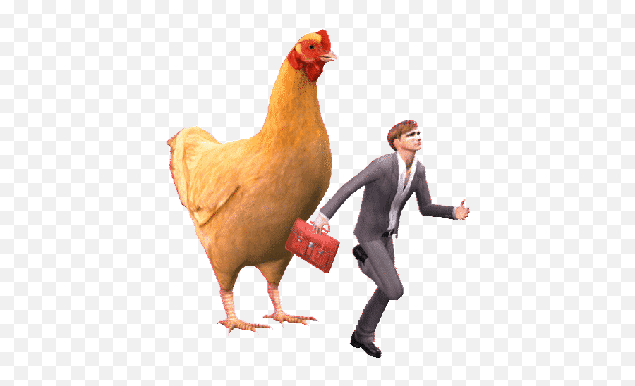 Top Chicken Run Stickers For Android U0026 Ios Gfycat - Funny Chicken Gif Transparent Emoji,Rooster Emoji