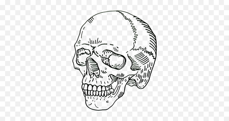 Skull Overlay - Skull Png Emoji,Skulls Emotions Reference Drawing
