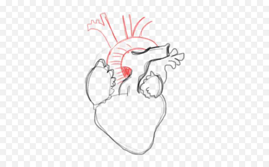 Drawing A Blank Anatomical Heart Number One With A Bullet - Sketch Emoji,Emotion Drawing Reference Side
