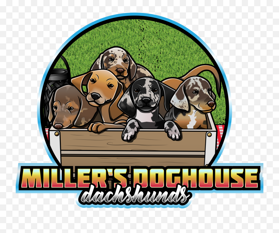 Milleru0027s Doghouse Emoji,Dachshund Emoticon Facebook