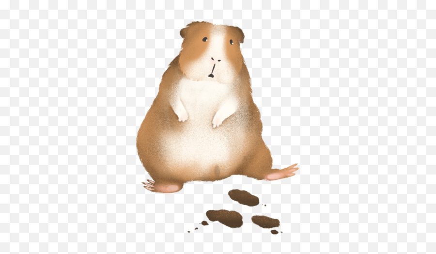 Guinea Pig Poop Chart - Soft Emoji,Guinea Pig Emoticon