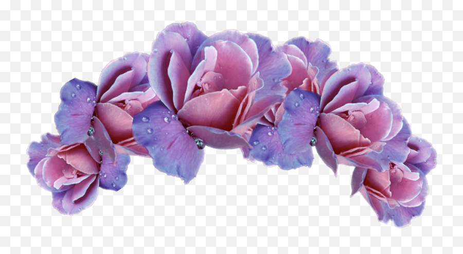 Purple Flower Crown Png Transparent Cartoon - Jingfm Picsart Sticker Flower Crown Emoji,Purple Flower Emoji
