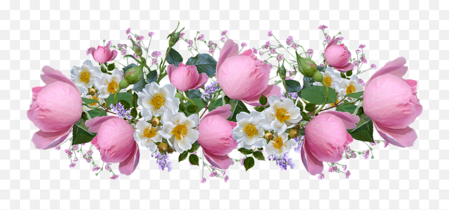 Free Image On Pixabay - Flowers Roses Pink White Blooms Transparent Lavender Roses Png Emoji,Two Roses Emoji
