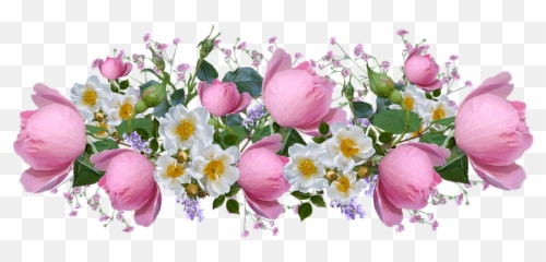 Free Image On Pixabay - Flowers Roses Pink White Blooms Transparent Lavender Roses Png Emoji,Two Roses Emoji