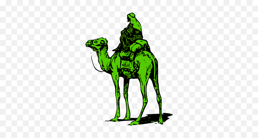 The Dread Pirates Confidante - Silk Road Logo Emoji,Emotion Camel
