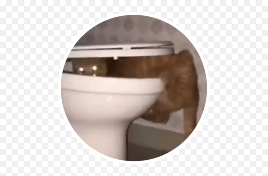 Wholesome Animals Stickers - Toilet Emoji,Toilet Flushing Animated Emojis