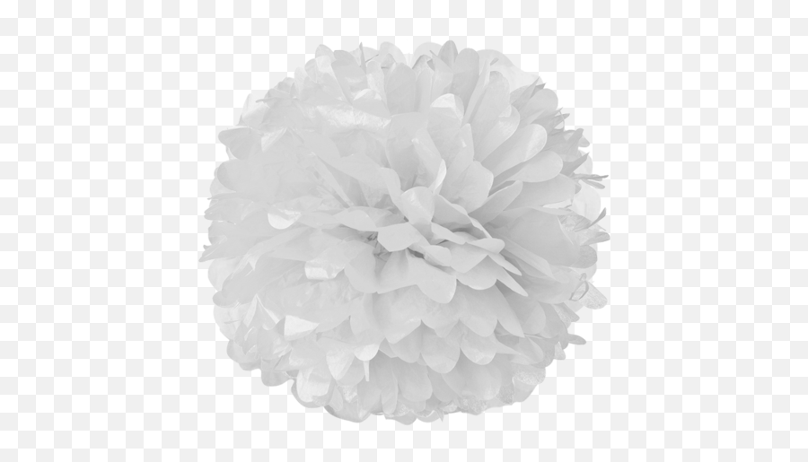 White Tissue Pom Poms - White Pom Poms Clipart Transparent Emoji,Emotions Pom Pom Balls