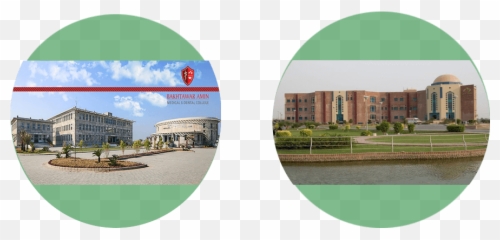 Bakhtawar Amin Medical College - City Emoji,Basic Emotions For Character Modles