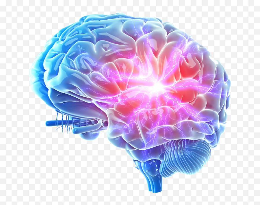 Buen Alimento Para El Cerebro Prevenir La Pérdida De Memoria Emoji,Emoticon Perdida De Memoria Buen Alimento Para El Cerebro Prevenir La Pérdida De Memoria Emoji,Emoticon Perdida De Memoria