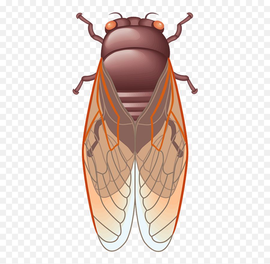 Cicada Insect Clipart - Parasitism Emoji,Cicada Emoji