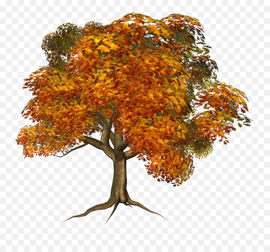 Free Fall Tree Image Library Rr Collections Png - Clipartix Transparent Background Fall Tree Clipart Emoji,Fallen Leaves Emoji