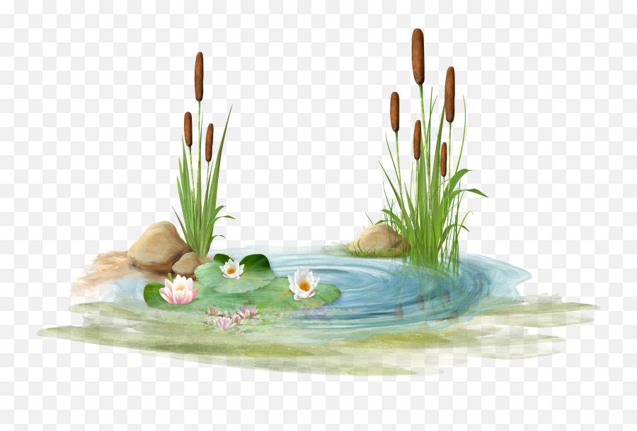 Pond Pussywillow Scenery Sticker Emoji,Pond Emoji