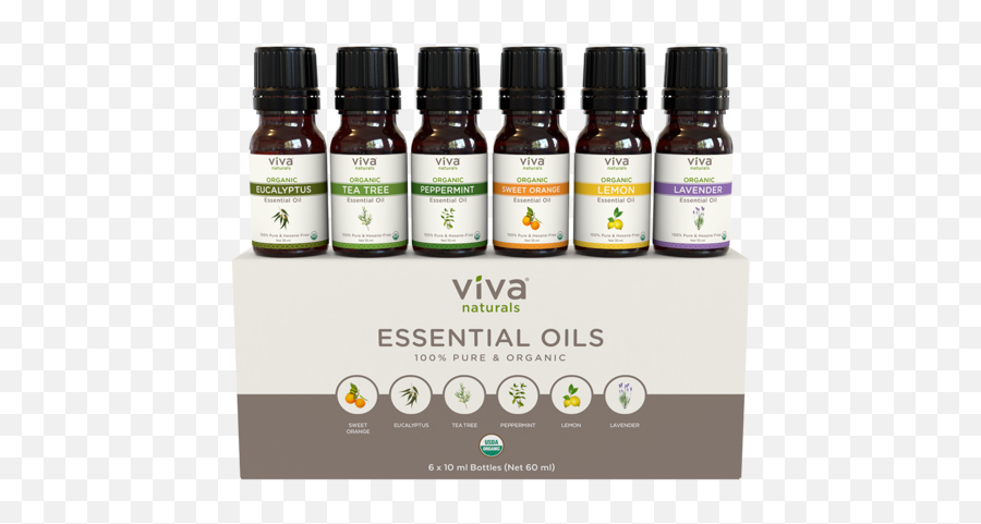 5 Reasons You Need An Essential Oil Diffuser In Your Home - Viva Essential Oils Emoji,Essential Oils And Emotions Orange