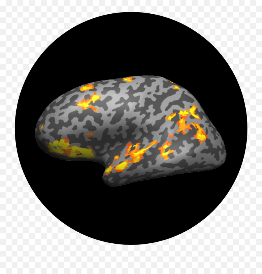 Home Page - Social And Cognitive Neuroscience In The Wild Lab Dot Emoji,Mri Scans Of Different Emotions