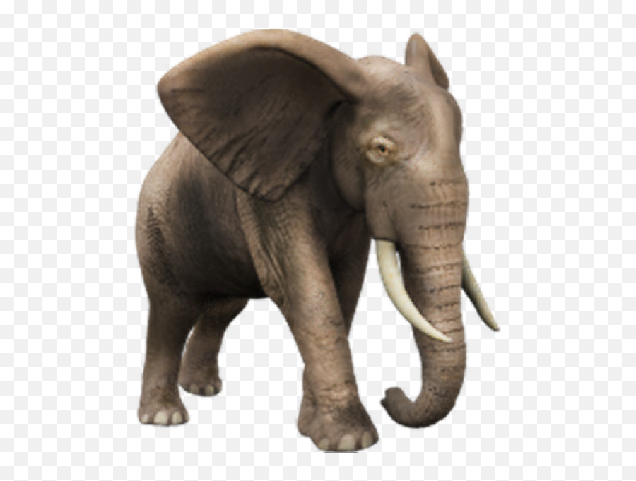 African Elephant Psd Official Psds - Party Elephant Gif Animated Emoji,Elephants Emoji
