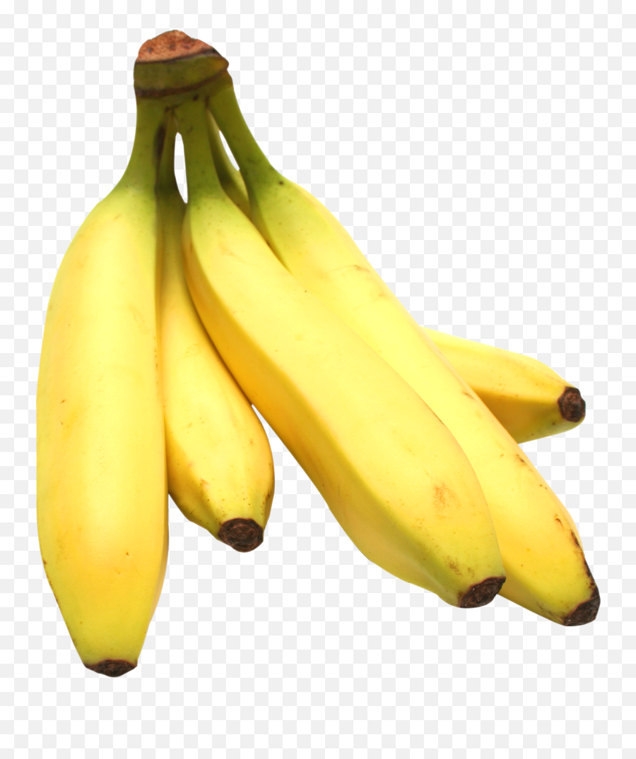 Banana Bunch Png Image - Transparent Banana Bunch Emoji,:banana Plant: Emoji