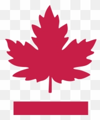 Duty Free Sarnia - Fall Leaves Icon Png Emoji,Maple Leaf Emoticon For Facebook