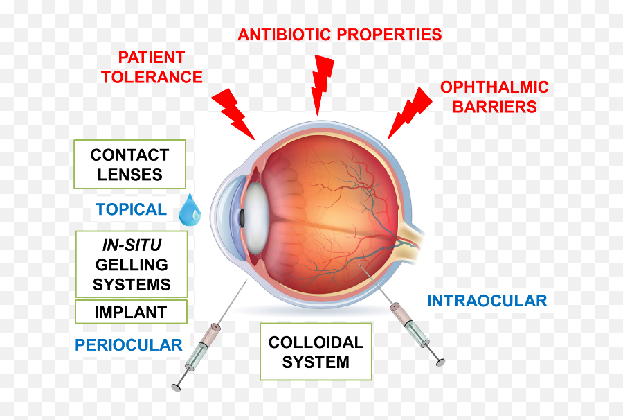 Pharmaceutics Free Full - Text Ophthalmic Drug Delivery Emoji,Note On Human Behavior Emotion And Reason Gurtler