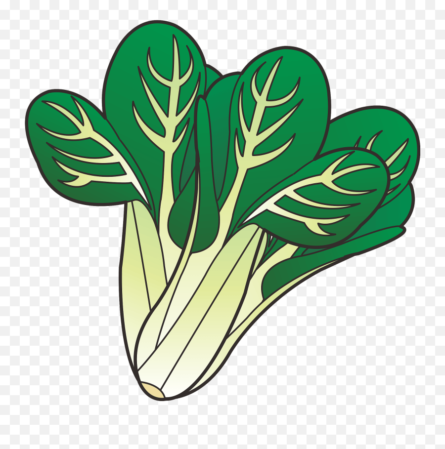 Komatsuna Emoji,Spinach Emoji
