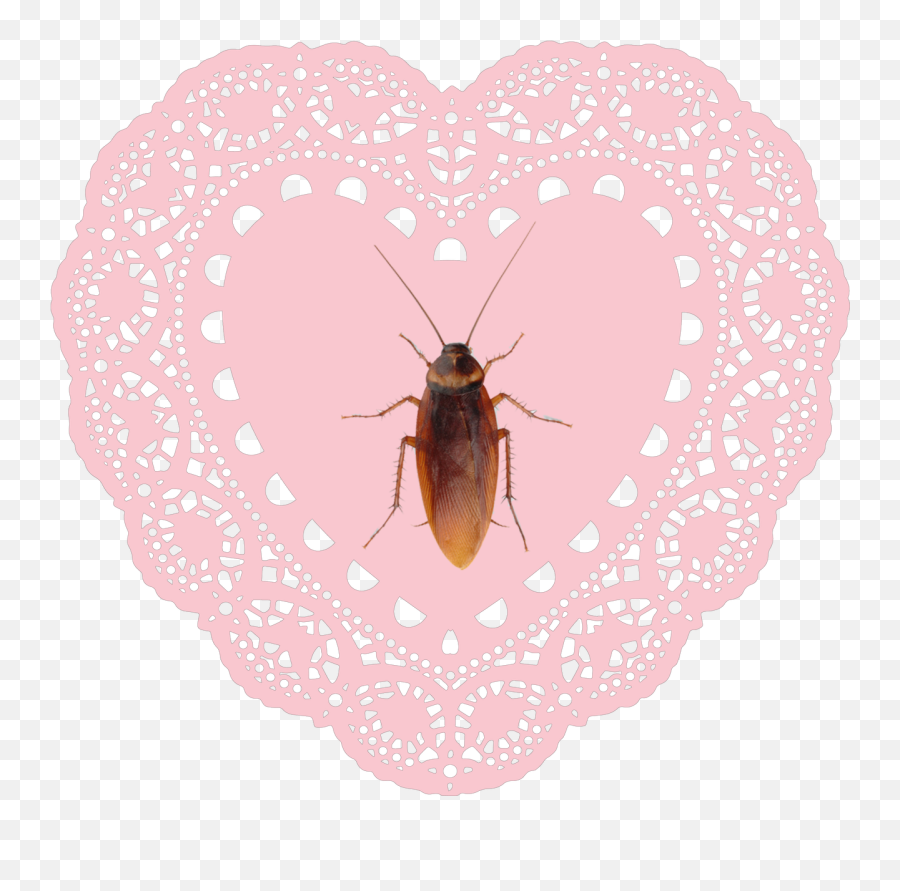 Roach Bug Bugs Sticker - Aesthetic Roach Emoji,How To Get A Roach Emoji