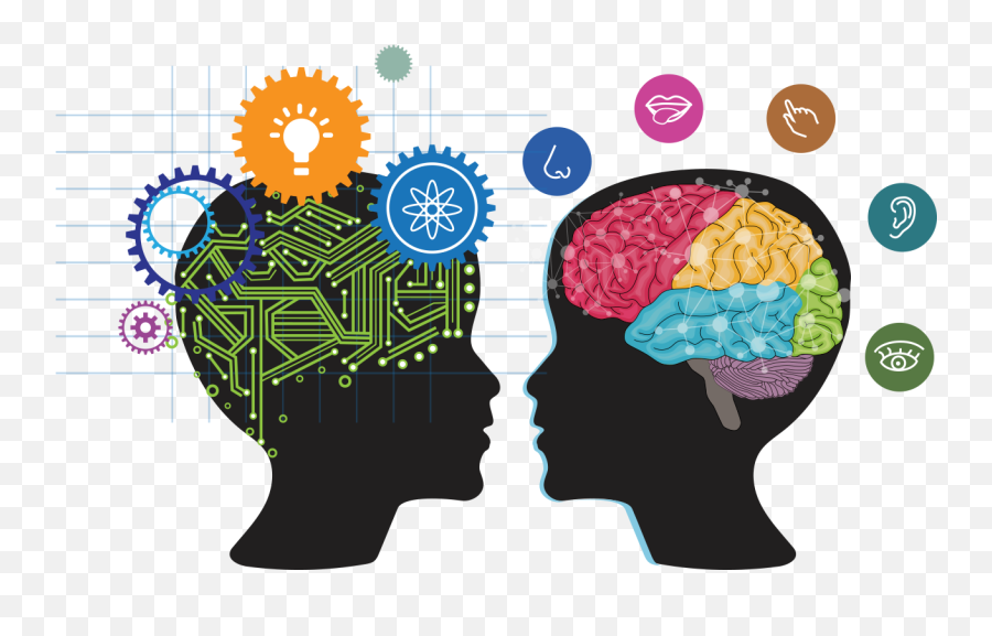 Wonders Of The Brain - Brain Emoji,Human Brain Diagram Emotions